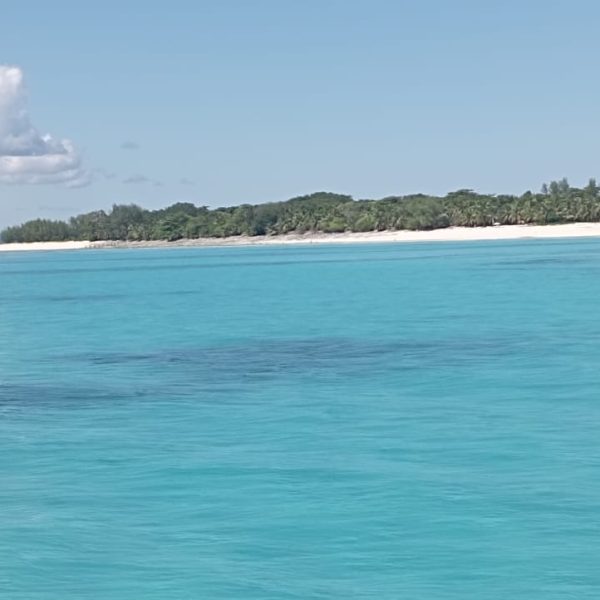 Nosy Sakatia